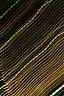 summer03-lights-1.jpg