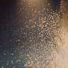 summer03-lights-8.jpg