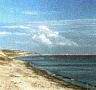 summer03-sea2.jpg